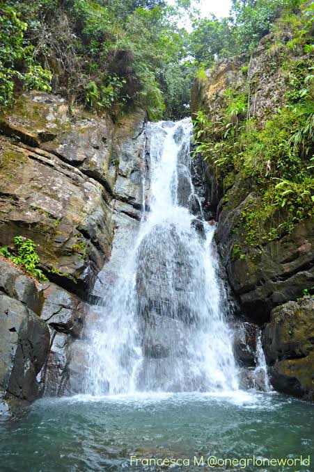 El Yunque Rainforest Tour