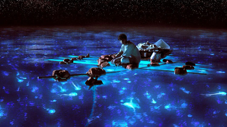 Bioluminescent Bay Kayak Tour